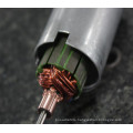 Custom Voltage 6v Precious metal Brush DC Gear Motor